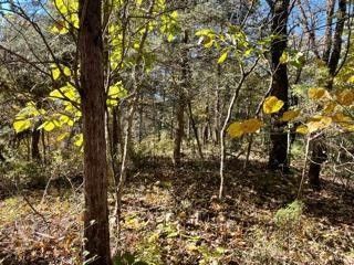 0 King Estates Rd Lot 19&20, Sevierville, TN 37862