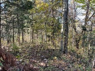 0 King Estates Rd Lot 19&20, Sevierville, TN 37862