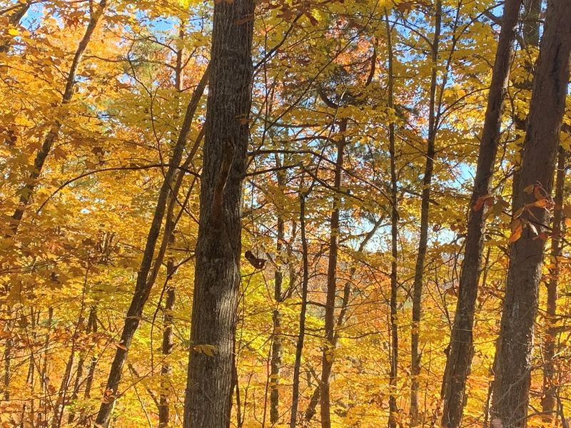 58 Harvest Moon Ln Lot 58E, Sevierville, TN 37862