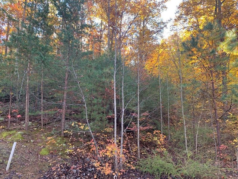 58 Harvest Moon Ln Lot 58E, Sevierville, TN 37862