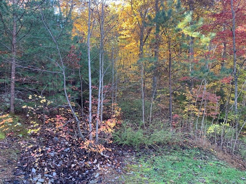 58 Harvest Moon Ln Lot 58E, Sevierville, TN 37862
