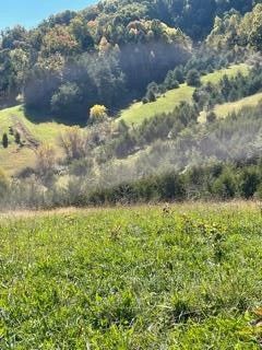 0 Mccarter Hl, Sevierville, TN 37862