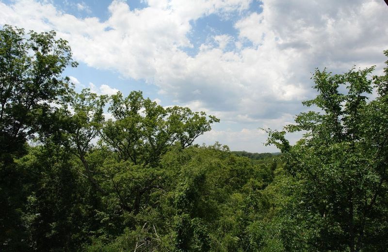 219 Oak Haven Way, Sevierville, TN 37876