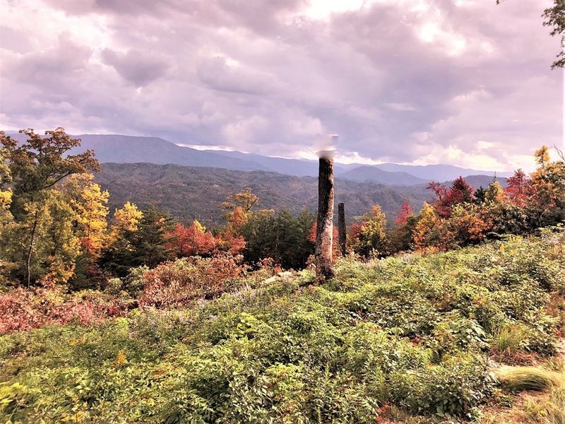 108 Summit Trails Dr Lot 108, Sevierville, TN 37862
