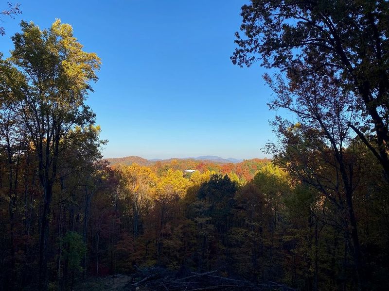 2511 Cove Mtn Ln, Sevierville, TN 37862