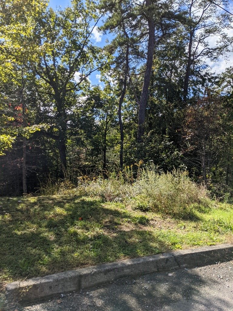 97 Bluff Ridge Rd Lot 097, Sevierville, TN 37876