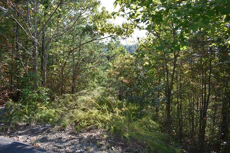 0 Harmony Hill Ln Lot 159E, Sevierville, TN 37876