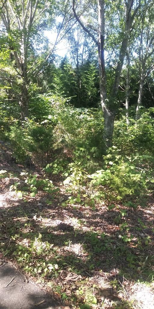 7 Wilson Rd Lot 7AR, Sevierville, TN 37876