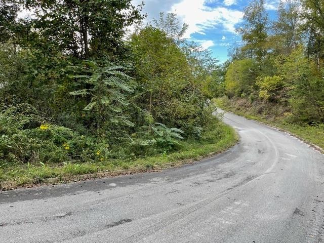 0 Oak Lake Dr Lot 55, Sevierville, TN 37876