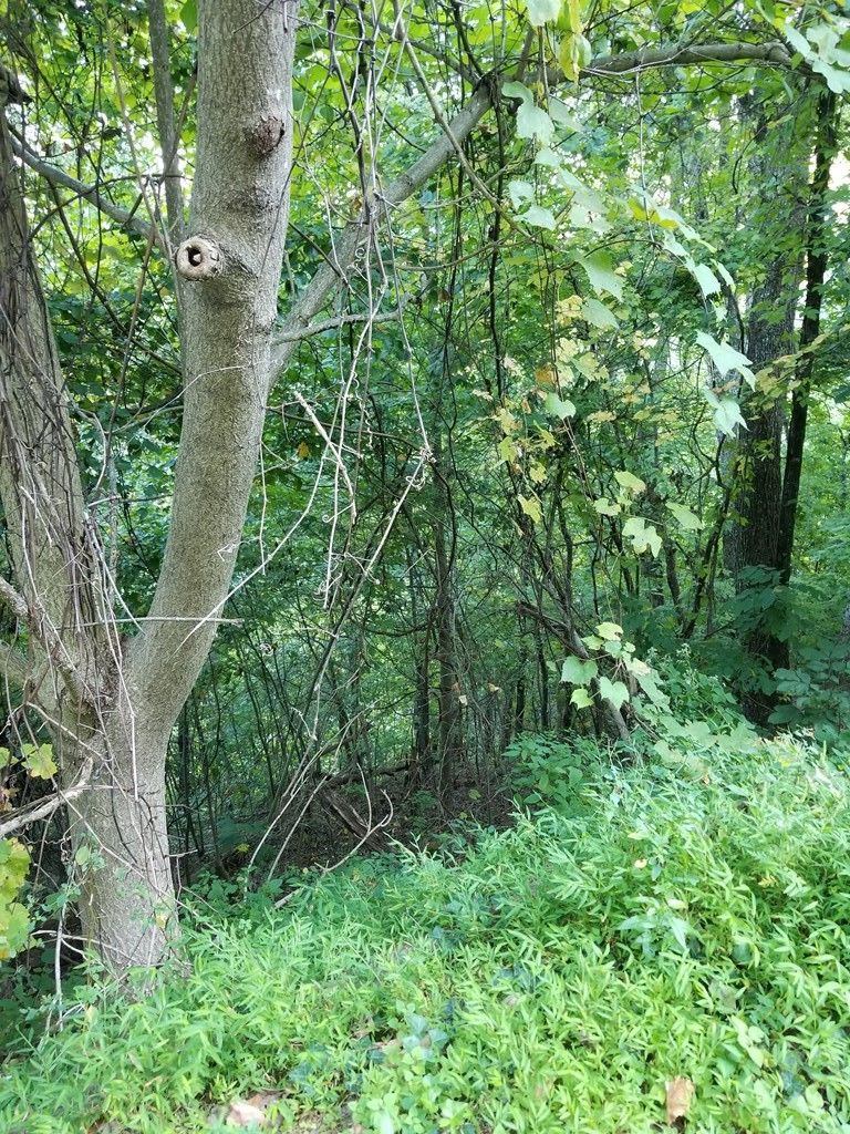 1 Overholt Trl Lot 1, Sevierville, TN 37876