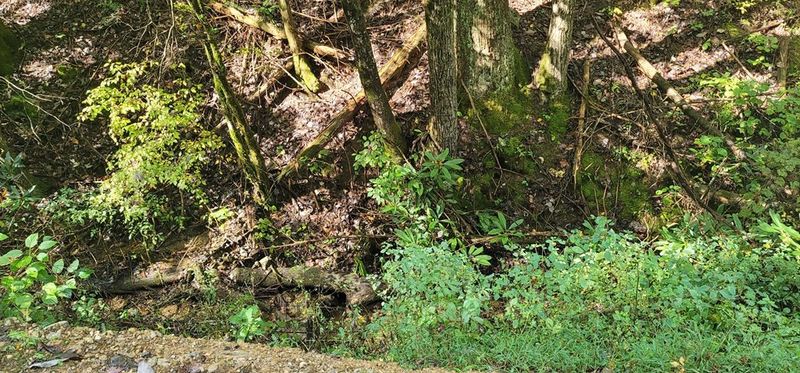 2 Cove Mtn Ln Lot 2, Sevierville, TN 37862