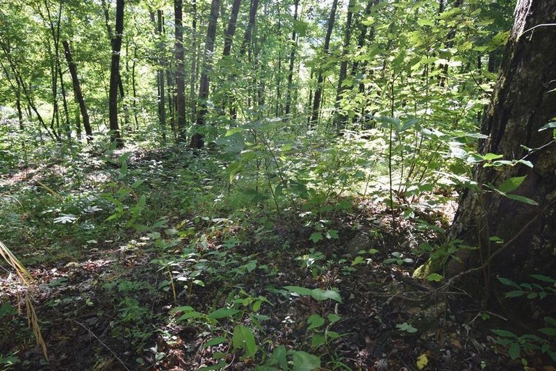 1213 Whipoorwill Hill Way Lot 12&13, Sevierville, TN 37862