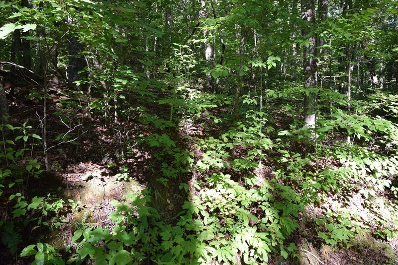 33 Whipoorwill Hill Way Lot 33R, Sevierville, TN 37862