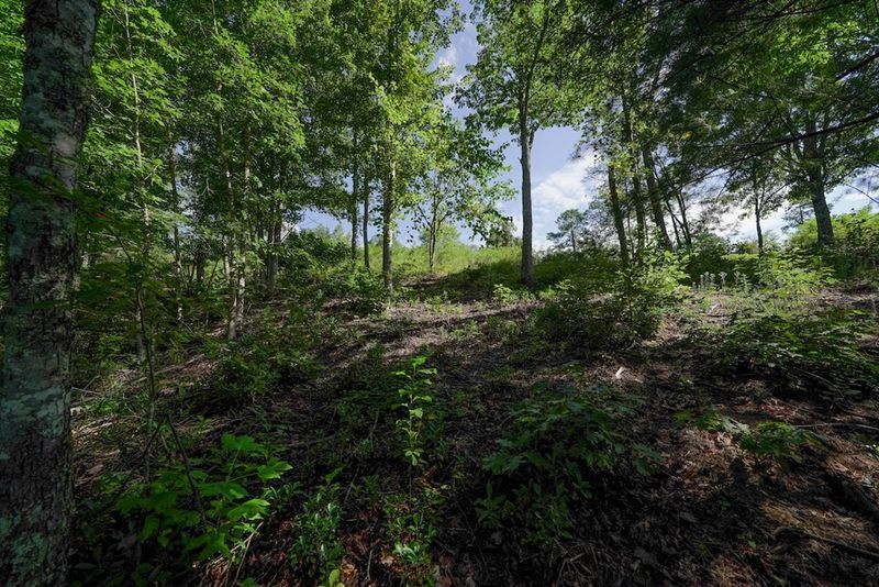 0 Mountain Ash Way Lot 13, Sevierville, TN 37876