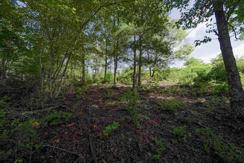 0 Mountain Ash Way Lot 12, Sevierville, TN 37876