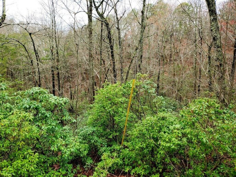 2257 Beach Front Dr Lot 1473, Sevierville, TN 37876