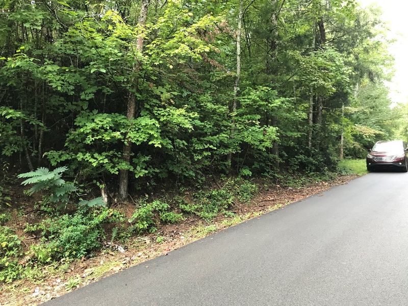 0 Sencebaugh Dr Lot 19A, Sevierville, TN 37876