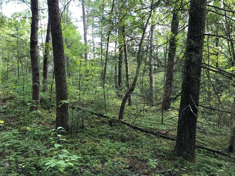0 Sencebaugh Dr Lot 19A, Sevierville, TN 37876