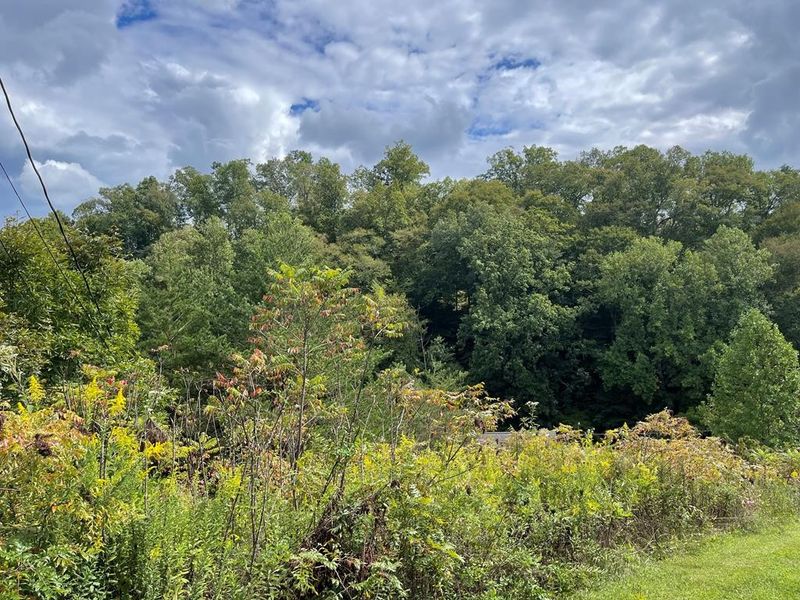 43 Wedge Tailed Ln Lot 43, Sevierville, TN 37876