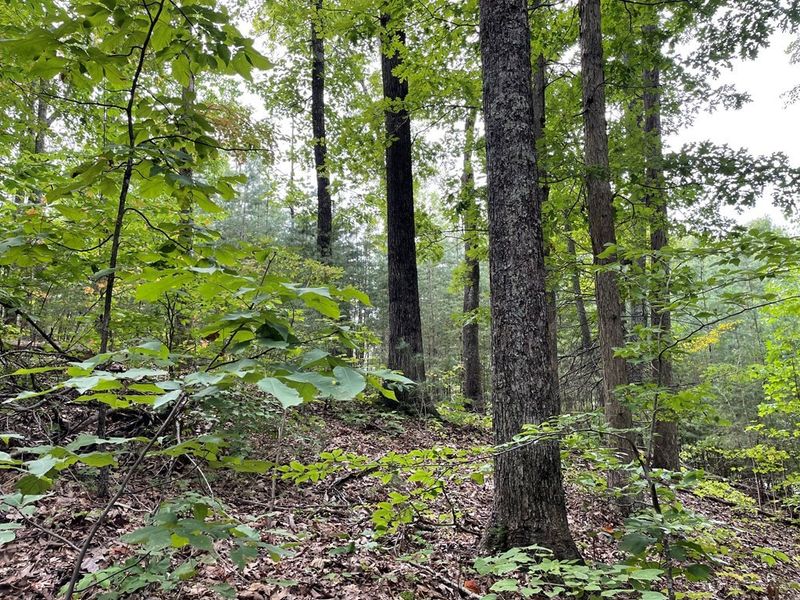 28 Burning Oaks Dr Lot 28, Sevierville, TN 37876