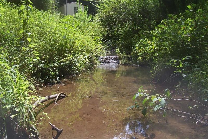 1876 Upper Middle Creek Rd Lot 2, Sevierville, TN 37876