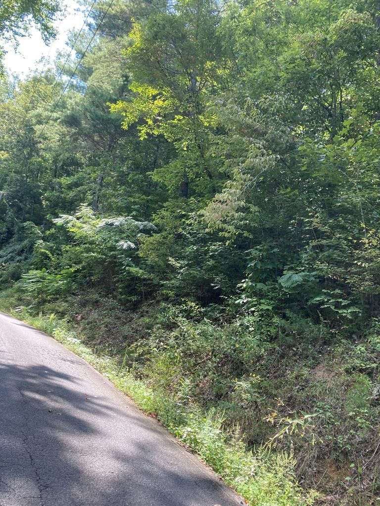 0 And 16 Sunset Rd Lot 14&15&16, Sevierville, TN 37876