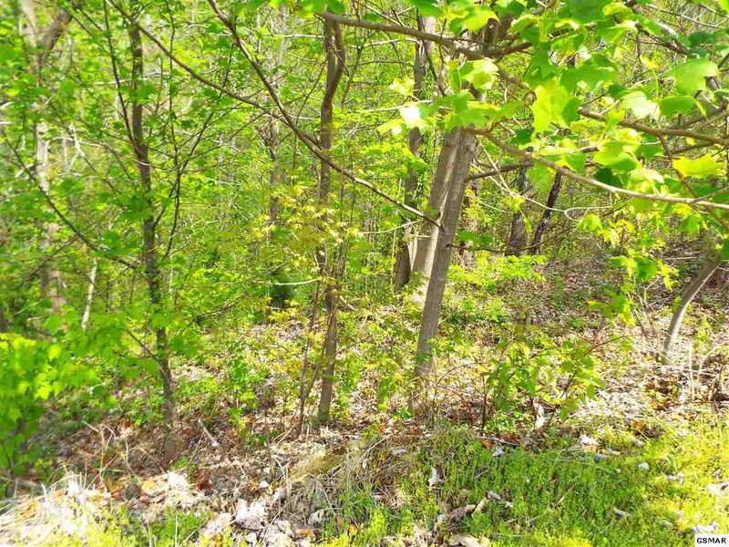 63 Redtail Rd Lot 63E, Sevierville, TN 37862