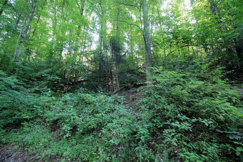 0 Orchard Dr Lot 826, Sevierville, TN 37876