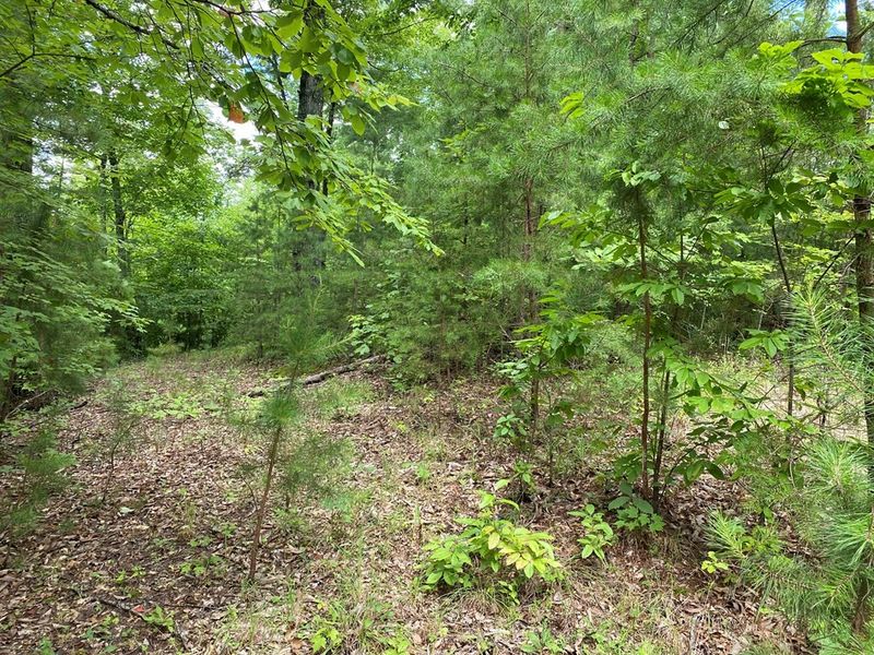 25 Fox Hunters Ln Lot 25, Sevierville, TN 37876
