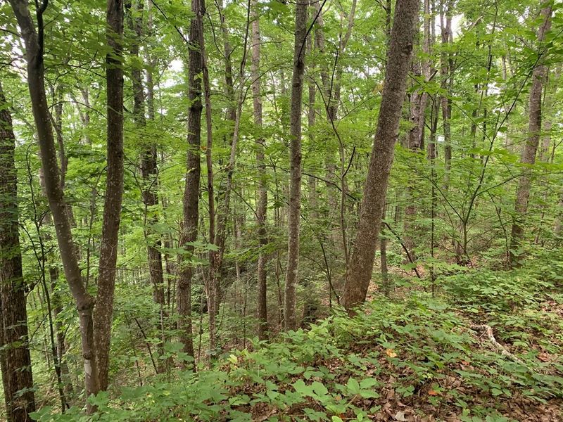 1244 Old Barn Cir Lot 1244, Sevierville, TN 37876