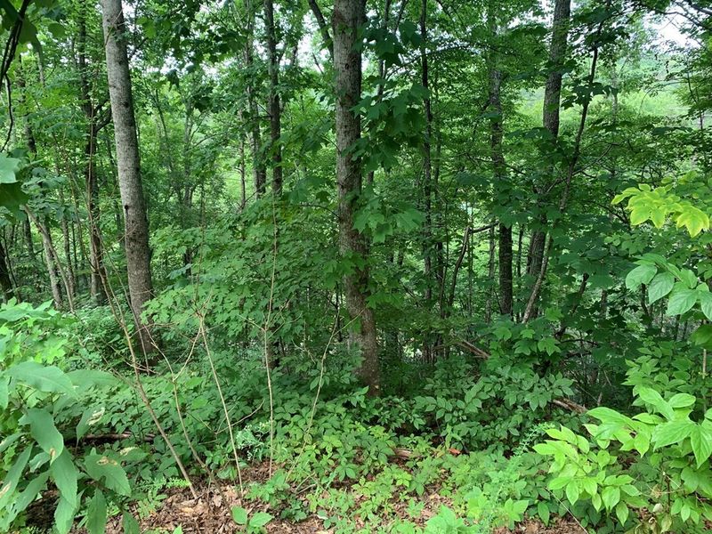 503 Overlook Ct Lot 503, Sevierville, TN 37876