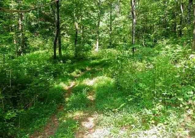 841 Obes Branch Rd, Sevierville, TN 37876