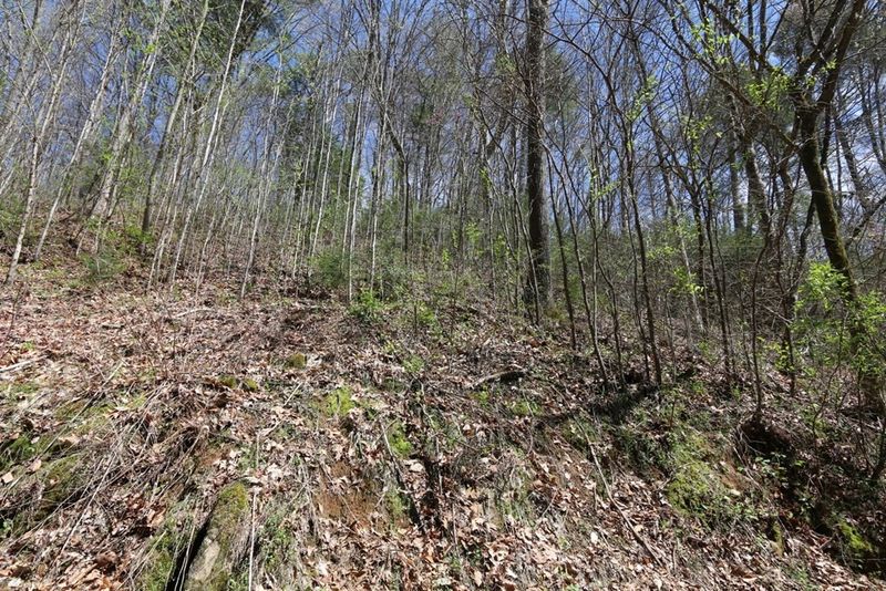 6 Cabin Creek Way Lot 6, Sevierville, TN 37862