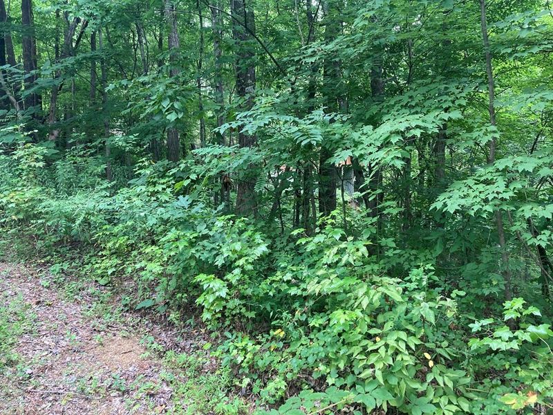238 Ridgecrest Dr Lot 0238, Sevierville, TN 37876