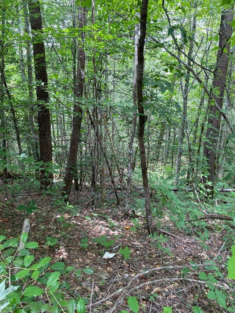 0 Azalea Trl Lot 8, Sevierville, TN 37876