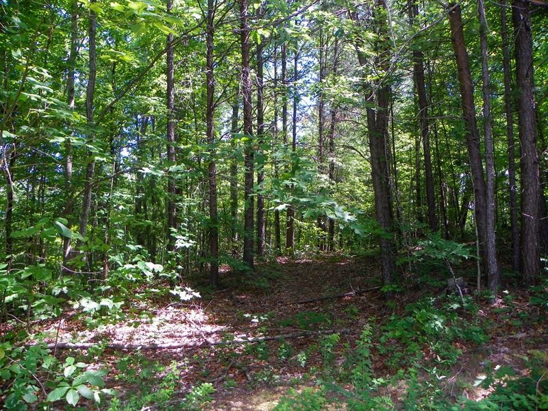 0 View Seeker Way Lot 1&2&5-19, Sevierville, TN 37876