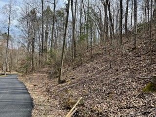 17 Shamrock Way Lot 17, Sevierville, TN 37876