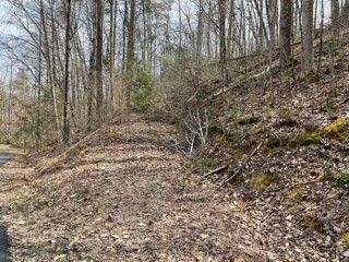 17 Shamrock Way Lot 17, Sevierville, TN 37876