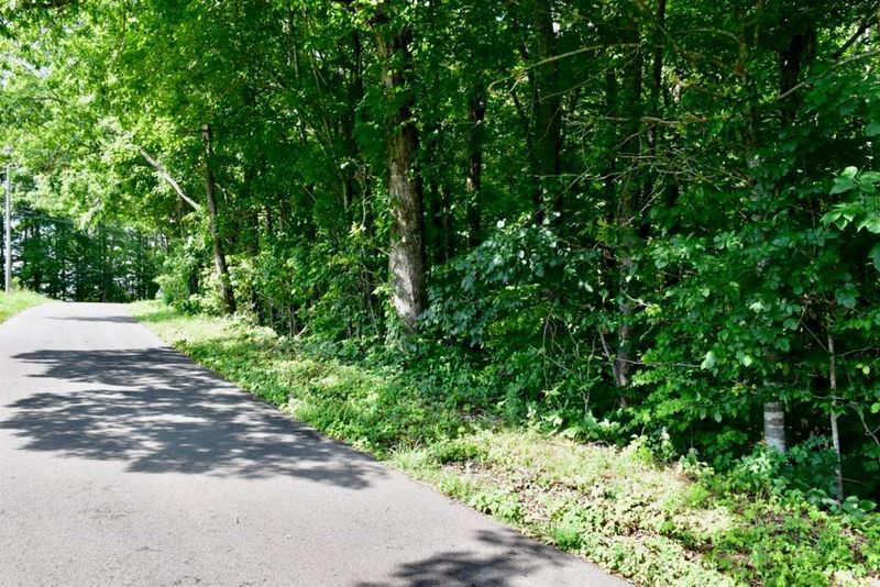 3 Sims Rd Lot 0003, Sevierville, TN 37876