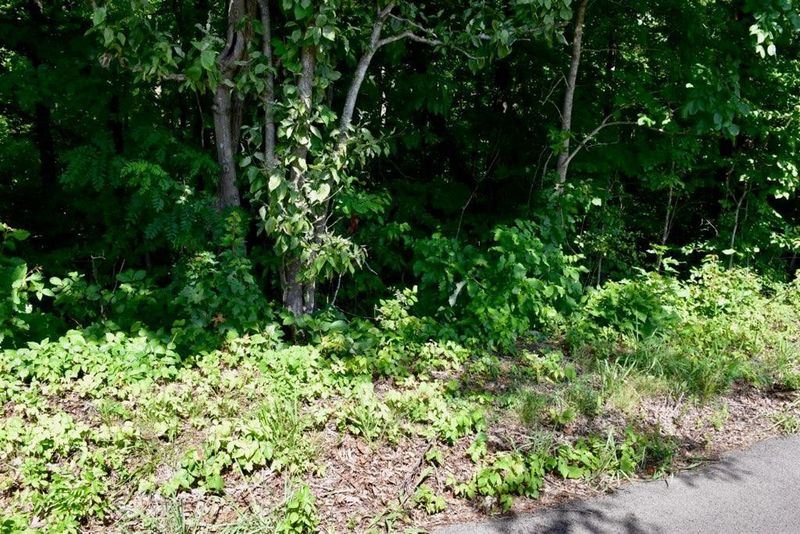 3 Sims Rd Lot 0003, Sevierville, TN 37876
