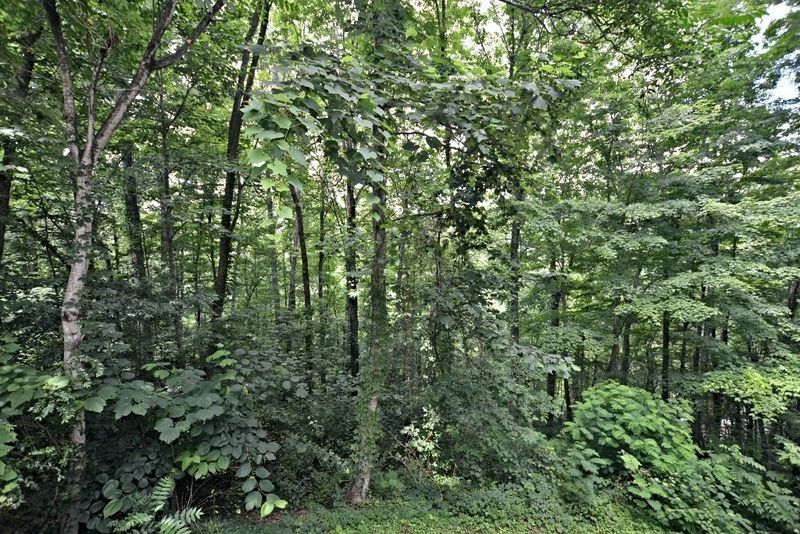 1809 Foothills Forest Way #BANDITSHIDEAWAY, Sevierville, TN 37876