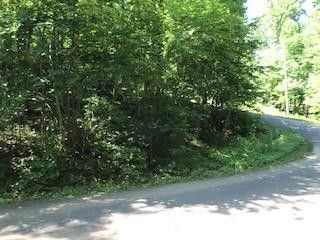 90 Ginseng Way Lot 90, Sevierville, TN 37862