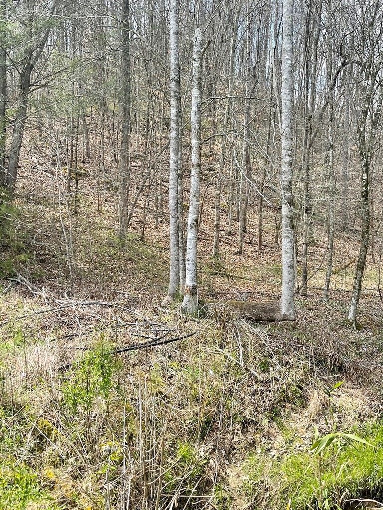9 Rule Way Lot 9, Sevierville, TN 37876