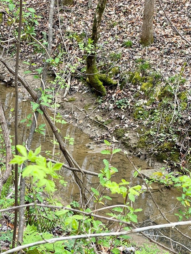 8 Rule Way Lot 8, Sevierville, TN 37876