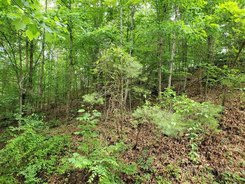 0 Bear Mtn Ln Lot MULTIPLE, Sevierville, TN 37876