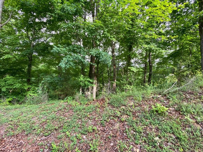 53 Wingspan Dr Lot 53, Sevierville, TN 37876