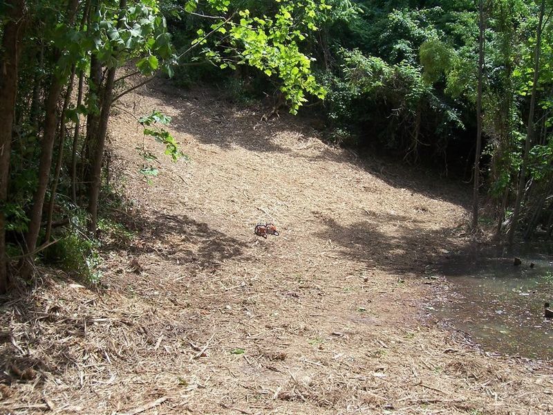 1 Scott St Lot 1, Sevierville, TN 37876