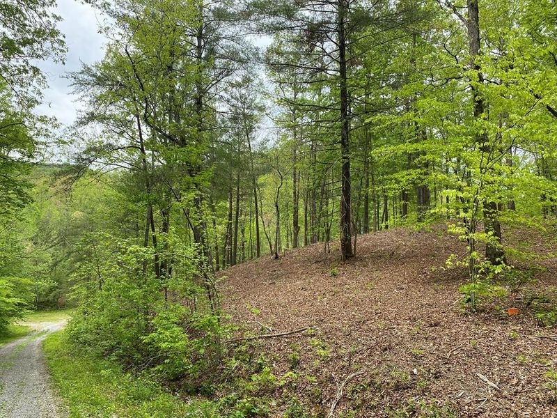 27 Ginas Way, Sevierville, TN 37862