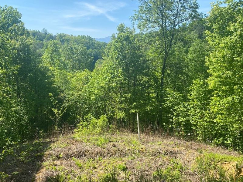 0 Chelan Way Lot 4, Sevierville, TN 37876