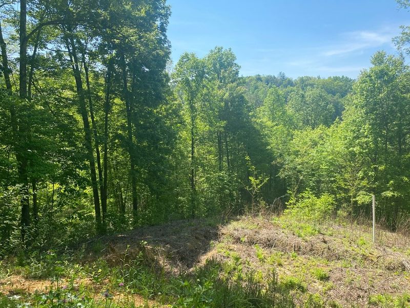 0 Chelan Way Lot 4, Sevierville, TN 37876